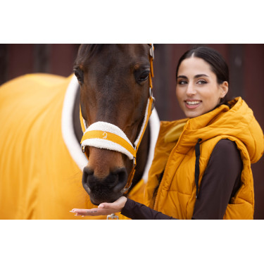 Caveção Lauria Garrelli Arezzo Mostarda Amarelo