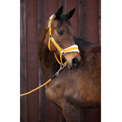 Caveção Lauria Garrelli Arezzo Mostarda Amarelo