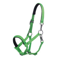 Caveirão para potro HKM Millie Verde néon