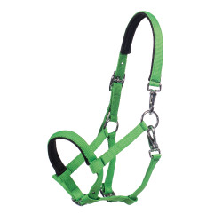 Caveirão para potro HKM Millie Verde néon