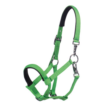 Caveirão para potro HKM Millie Verde néon