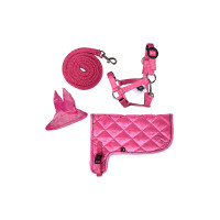 Conjunto néon HKM Hobby Horse Rosa