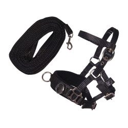 Conjunto de longe HKM Hobby Horse Preto