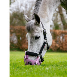 Cestos de pasto LeMieux Noma Malva Violeta