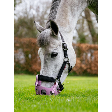 Cestos de pasto LeMieux Noma Malva Violeta