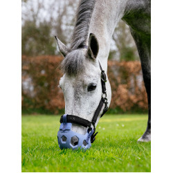 Cestos de pasto LeMieux Noma Azul-pó
