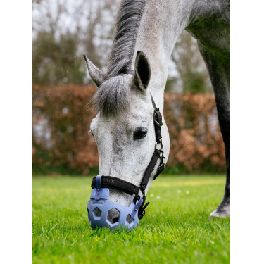 Cestos de pasto LeMieux Noma Azul-pó