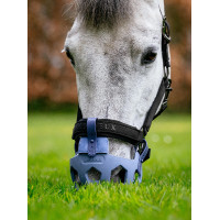 Cestos de pasto LeMieux Noma Azul-pó