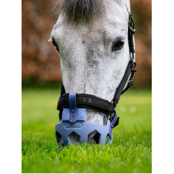 Cestos de pasto LeMieux Noma Azul-pó