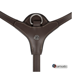 Coleira Signature by Antares Yoke Castanho