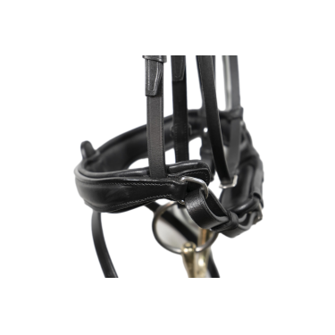 Bridão Signature by Antares dressage noseband combinado Preto