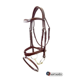 Bridão Signature by Antares muserola combinada Signature Castanho