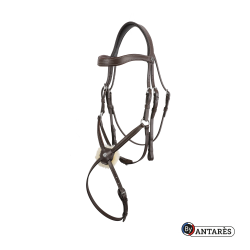 Bridão Signature by Antares com muserola combinada Castanho