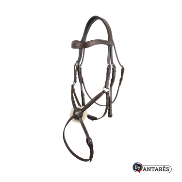 Bridão Signature by Antares com muserola combinada Castanho