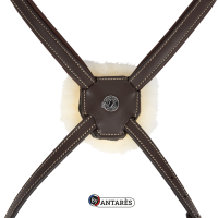 Bridão Signature by Antares com muserola combinada Castanho Bridão Signature by Antares com muserola combinada Castanho