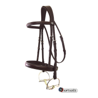 Bridão Signature by Antares Hunter Castanho Bridão Signature by Antares Hunter Castanho