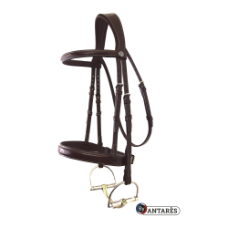 Bridão Signature by Antares Hunter Castanho