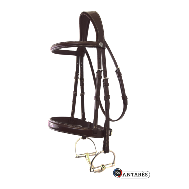 Bridão Signature by Antares Hunter Castanho