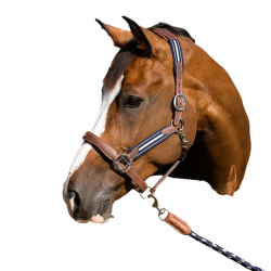 Caveção Antares stressless granulado Malte