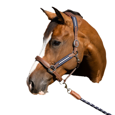 Caveção Antares stressless granulado Malte