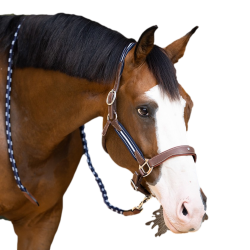 Caveção Antares stressless granulado Malte