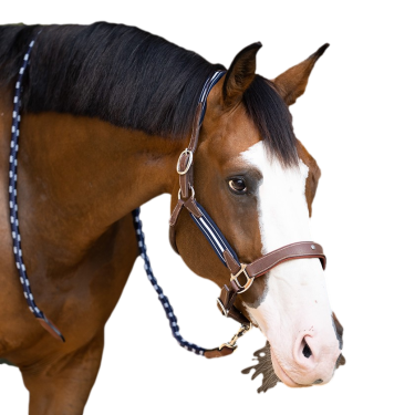 Caveção Antares stressless granulado Malte