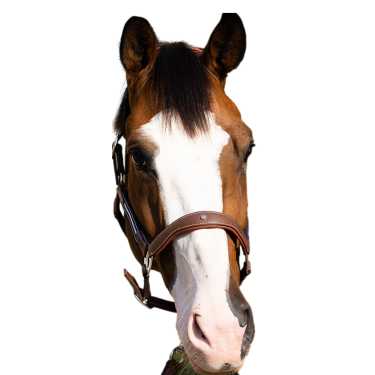 Caveção Antares stressless granulado Malte