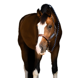 Caveção Antares stressless granulado Malte