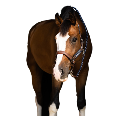 Caveção Antares stressless granulado Malte