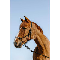 Cabresto etológico Westride Western Preto Cabresto etológico Westride Western Preto