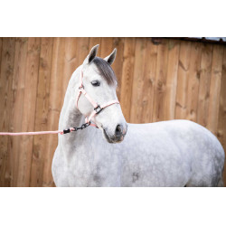 Corda de amarração Lami-Cell Midnight