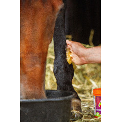 Gel refrigerante Equinatura