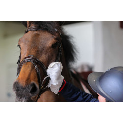 Luvas de limpeza Belvoir® Carr & Day & Martin Tack Cleaner Branco Luvas de limpeza Belvoir® Carr & Day & Martin Tack Cleaner Branco