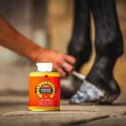 Óleo para cascos Carr & Day & Martin Daily Hoof Moisturiser Cornucrescine
