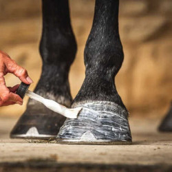 Óleo para cascos Carr & Day & Martin Daily Hoof Moisturiser Cornucrescine