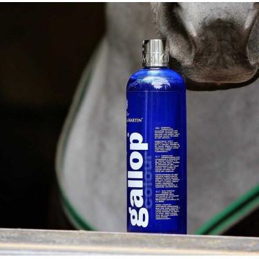 Shampoo Gallop® Carr & Day & Martin Cinza