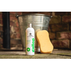 Shampoo antibacteriano Gallop® Carr & Day & Martin Shampoo antibacteriano Gallop® Carr & Day & Martin