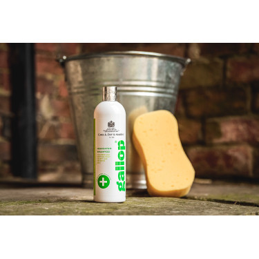 Shampoo antibacteriano Gallop® Carr & Day & Martin Shampoo antibacteriano Gallop® Carr & Day & Martin
