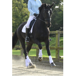 Guêtres S&F integrais Equilibrium Guêtres S&F integrais Equilibrium
