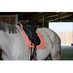 Sela Equithème Softy Sela Equithème Softy