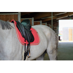 Sela Equithème Softy Sela Equithème Softy