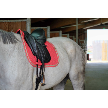 Sela Equithème Softy Sela Equithème Softy