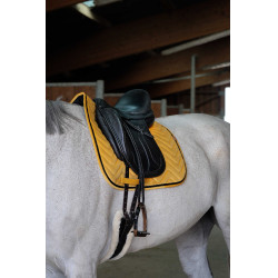 Almofada de sela Equithème Glossy