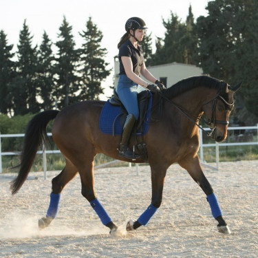 Tapete LeMieux Suede Dressage Square Azul Benetton Tapete LeMieux Suede Dressage Square Azul Benetton