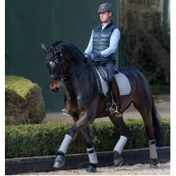 Tapete LeMieux Suede Dressage Square Cinzento Tapete LeMieux Suede Dressage Square Cinzento