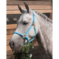 Cabezada Biotack® T de T Azul céu