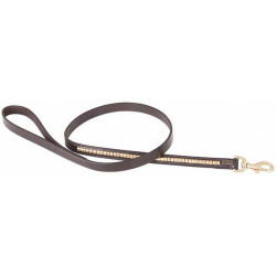 Hondenriem Clincher T van T Hondenriem Clincher T van T