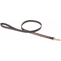 Coleira Para Cão Strass T de T Havana escuro / amarelo Castanho Coleira Para Cão Strass T de T Havana escuro / amarelo Castanho