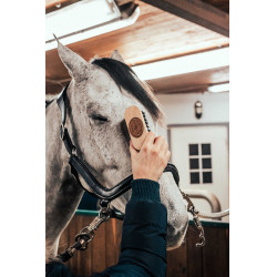 Escova de cabeça Borstiq