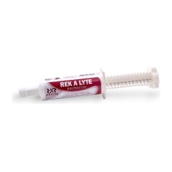 Alimento complementar Rekor Rek A Lyte flash
